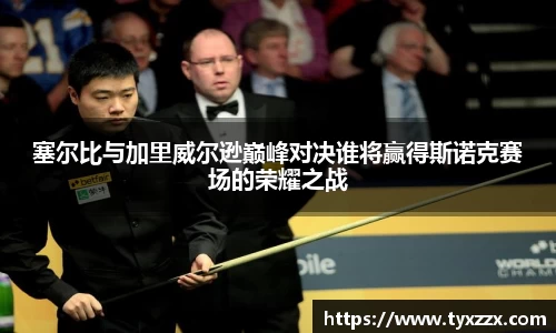 塞尔比与加里威尔逊巅峰对决谁将赢得斯诺克赛场的荣耀之战