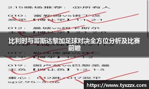 比利时与哥斯达黎加足球对决全方位分析及比赛前瞻
